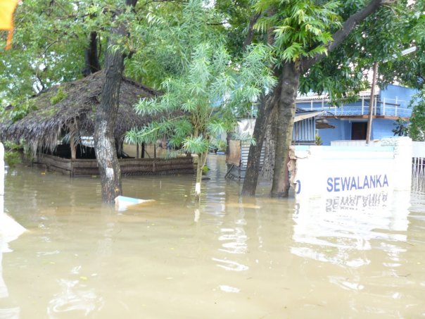 Temple Road, Nallur, Jaffna after Cyclone Nisha November 2008