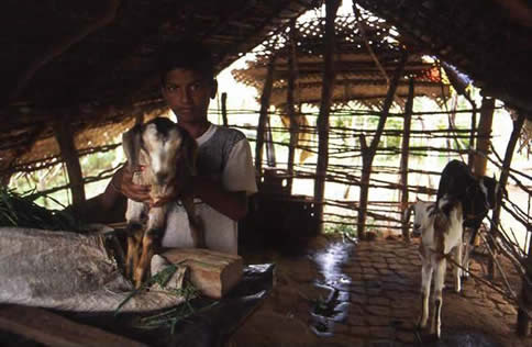 Boy with goat koddil 2010