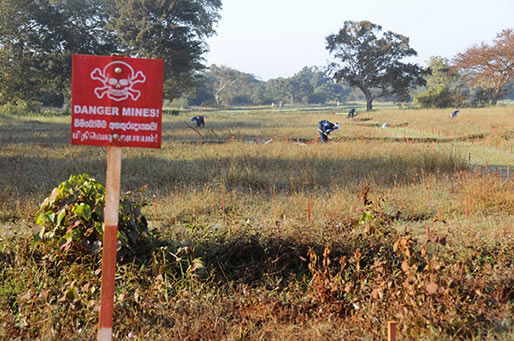 Demining Vanni 2010