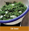 dill seed