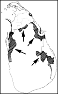 Colonization of traditionally Tamil areas in Sri Lanka 