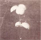 002-An32s-Supply-Drop.jpg (41842 bytes)