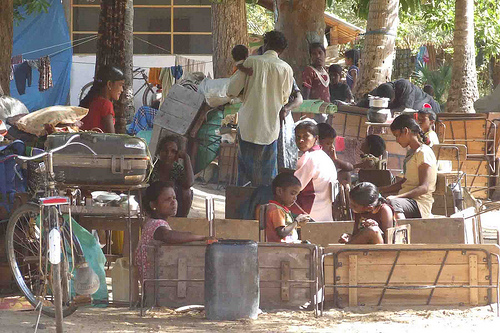 displaced families by trokilinochchi.