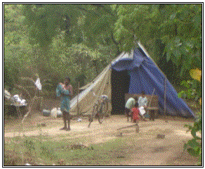 Displaced in Vanni Caritas-HUDEC October 2008