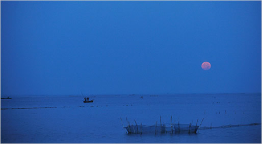 Jaffna lagoon February 2010