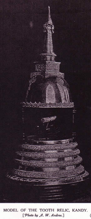 Kandy Tooth Relic 1907 A. W. Andree