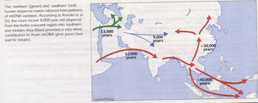 Map on minor contribution by Aryans to Indian gene pool from 1999 Current Biology journal