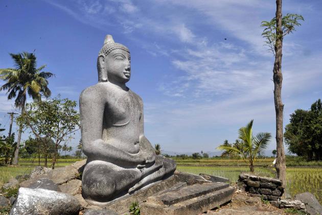 Thiyaganur buddha. Photo: A. Srivathsan 2012